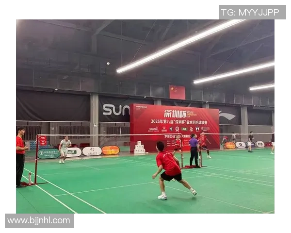 深圳羽毛球队在全国羽毛球比赛经验排行榜中荣获第八名的辉煌成就