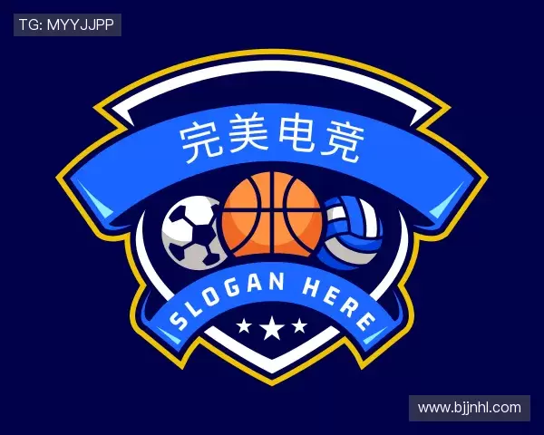 认识完美电竞